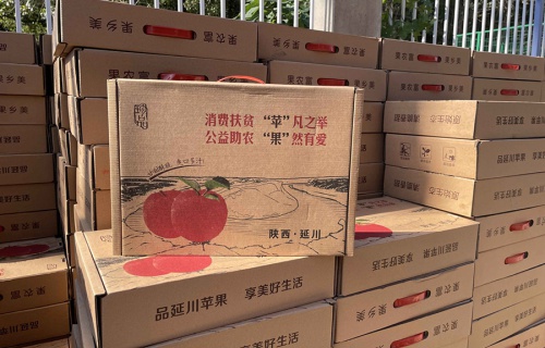 球探比分“扶贫助农，振兴乡村”活动